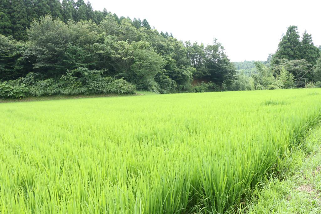 Minshuku Shiroyama Hotel Taketa Bagian luar foto